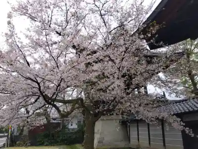 毫攝寺(福井県)