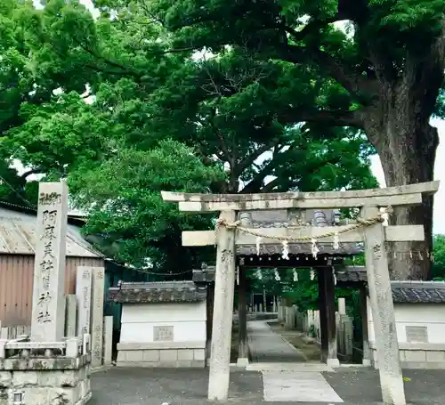 阿麻美許曽神社の鳥居