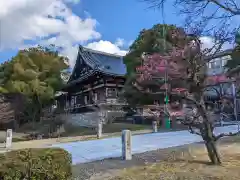  智積院(京都府)