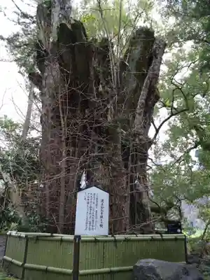 加藤神社(熊本県)