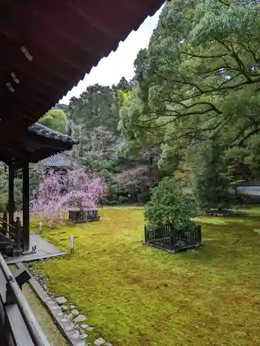 青蓮院門跡(京都府)