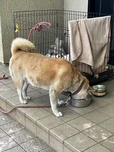 笠䅣稲荷神社(神奈川県)