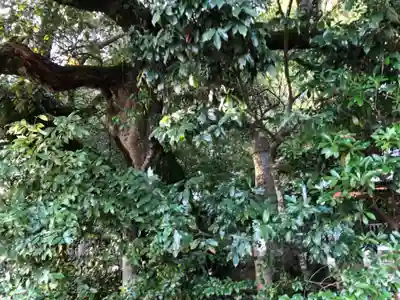 木梨神社(兵庫県)