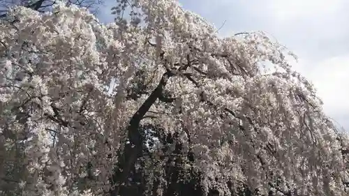 宗像神社の自然