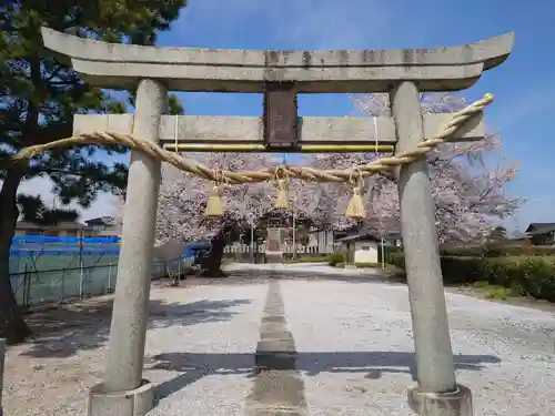 勝呂神社の鳥居