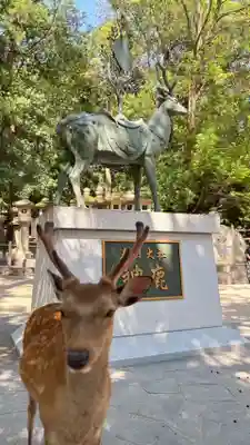 春日大社(奈良県)