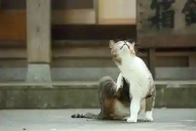 玉野御嶽神社(愛知県)