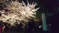 小垣江神明神社の自然