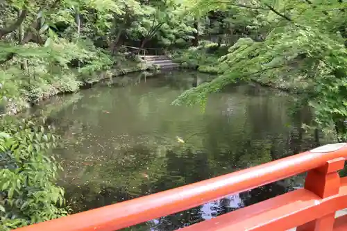 鶴岡八幡宮の庭園