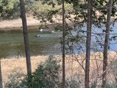 地蔵院(東京都)