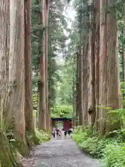 戸隠神社奥社(長野県)