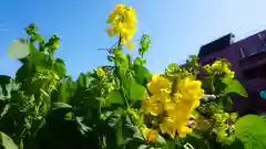 尾張大國霊神社（国府宮）の自然