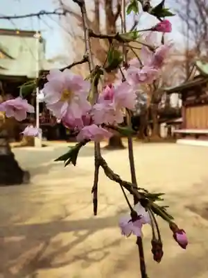諏訪神社(東京都)