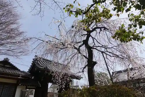 上品蓮台寺のその他建物