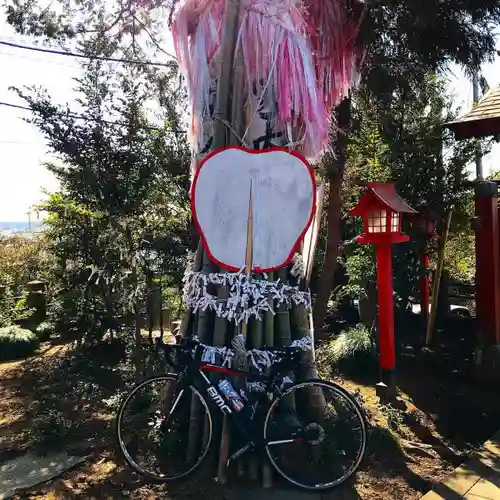 平出雷電神社(栃木県)