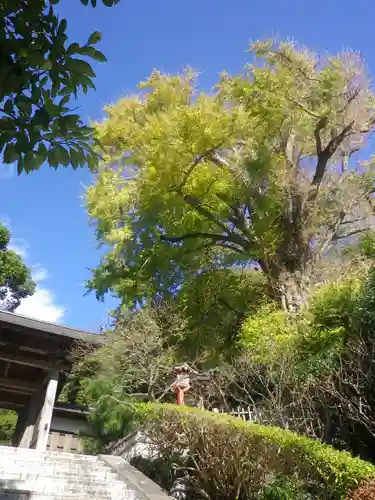 荏柄天神社のその他建物