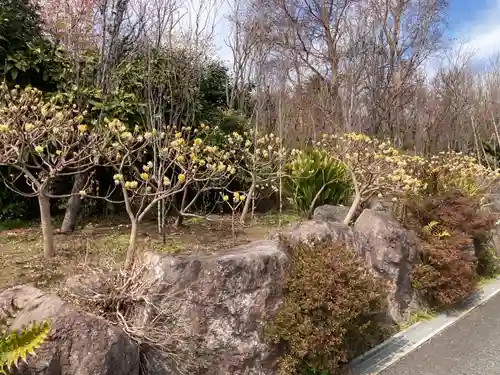 常泉寺(神奈川県)