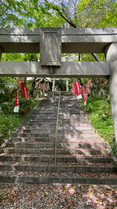 稲荷神社の{uncategorized: "未分類", other: "その他", undefined: "問題あり", building: "その他建物", grave: "お墓", sacred_gate: "鳥居", guardian: "狛犬", statue: "像", buddha: "仏像", history: "歴史", nature: "自然", garden: "庭園", animal: "動物", pagoda: "塔", temizu: "手水舎", mountain_gate: "山門・神門", sanctuary: "本殿・本堂", subordinate: "末社・摂社", art: "芸術", scenery: "景色", jizo: "地蔵", ema: "絵馬", goshuin: "御朱印", omikuji: "おみくじ", items: "授与品その他", amulet: "お守り", goshuincho: "御朱印帳", eats: "食事", festival: "お祭り", votive_dance: "神楽", shichigosan: "七五三参", wedding: "結婚式", experience: "体験その他", initially: "初詣", around: "周辺", anti_infection: "感染症対策"}