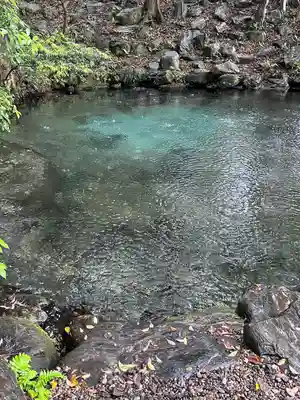 泉神社(茨城県)