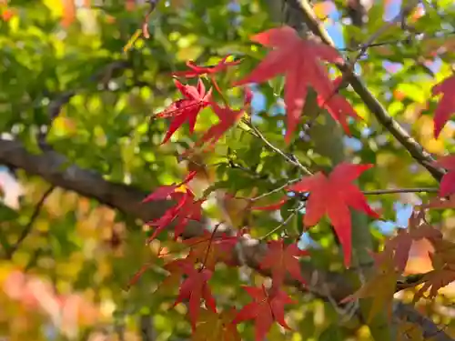 伊勢の国 四天王寺(三重県)