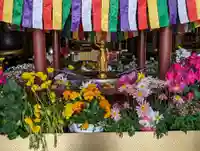 宝勝山 南藏院 蓮光寺(東京都)