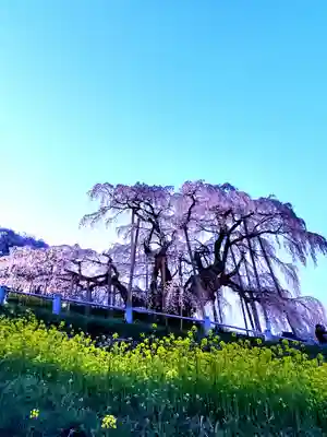 瀧桜神明宮(福島県)