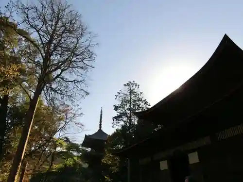 園城寺（三井寺）の建物その他