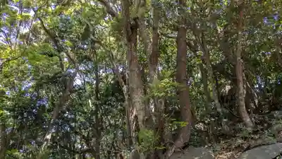 黒島神社の自然