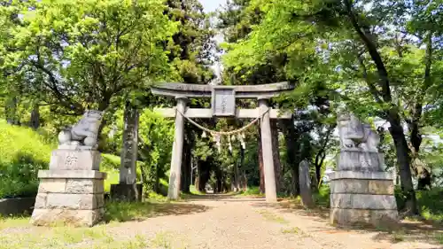 千代ケ岡八幡宮(栃木県)