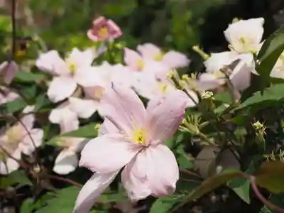 今市報徳二宮神社(栃木県)