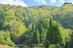 高龍神社　奥之院(新潟県)