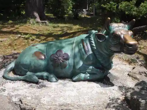 上川神社の狛犬