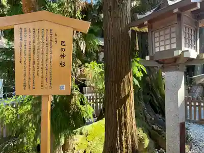 大神神社(奈良県)