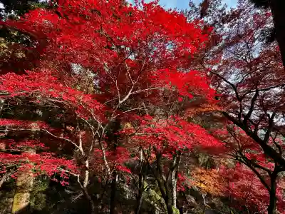 大興善寺の{uncategorized: "未分類", other: "その他", undefined: "問題あり", building: "その他建物", grave: "お墓", sacred_gate: "鳥居", guardian: "狛犬", statue: "像", buddha: "仏像", history: "歴史", nature: "自然", garden: "庭園", animal: "動物", pagoda: "塔", temizu: "手水舎", mountain_gate: "山門・神門", sanctuary: "本殿・本堂", subordinate: "末社・摂社", art: "芸術", scenery: "景色", jizo: "地蔵", ema: "絵馬", goshuin: "御朱印", omikuji: "おみくじ", items: "授与品その他", amulet: "お守り", goshuincho: "御朱印帳", eats: "食事", festival: "お祭り", votive_dance: "神楽", shichigosan: "七五三参", wedding: "結婚式", experience: "体験その他", initially: "初詣", around: "周辺", anti_infection: "感染症対策"}