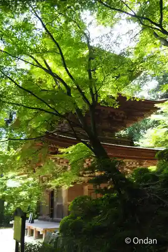 金剛輪寺(滋賀県)