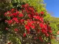 木舟山 順教寺(広島県)
