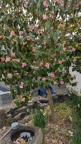 大松禅寺(京都府)