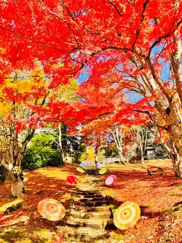 土津神社｜こどもと出世の神さま(福島県)