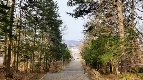 上川神社の景色