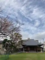 高家寺の本殿