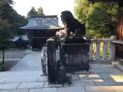 伊奈波神社の狛犬