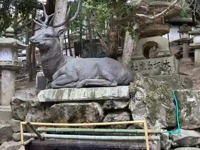 春日大社(奈良県)