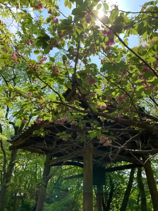 勝持寺(花の寺)のその他建物