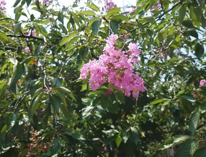 北野神社(東京都)
