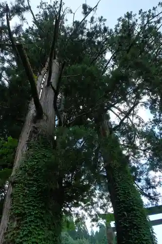 白山中居神社(岐阜県)