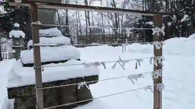定山渓神社のおみくじ