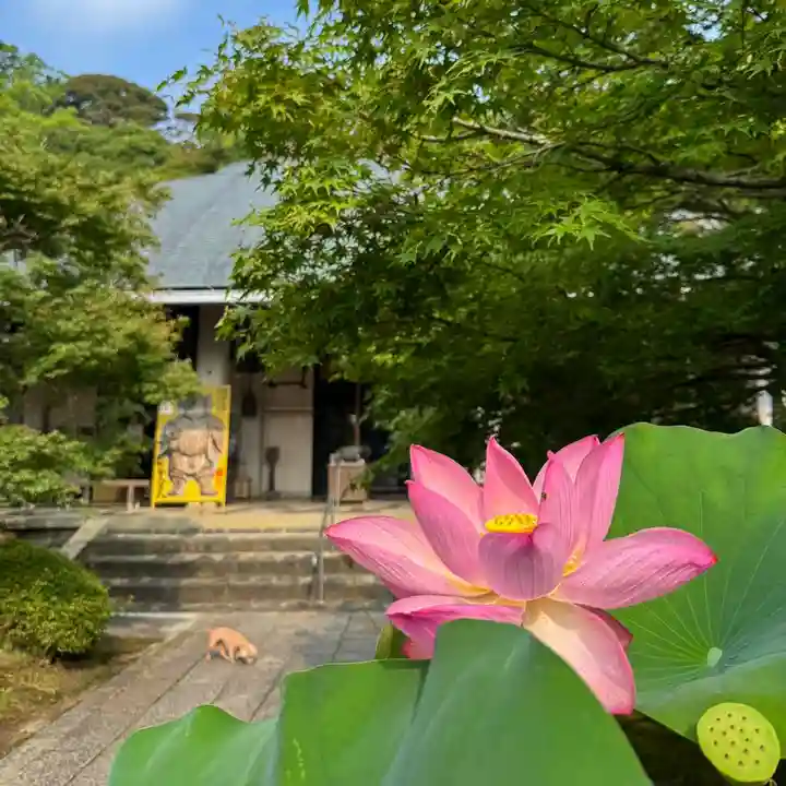 伊勢の国 四天王寺(三重県)