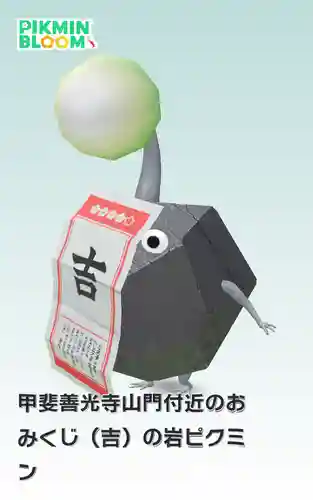 甲斐善光寺(山梨県)