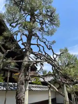 酬恩庵一休寺(京都府)