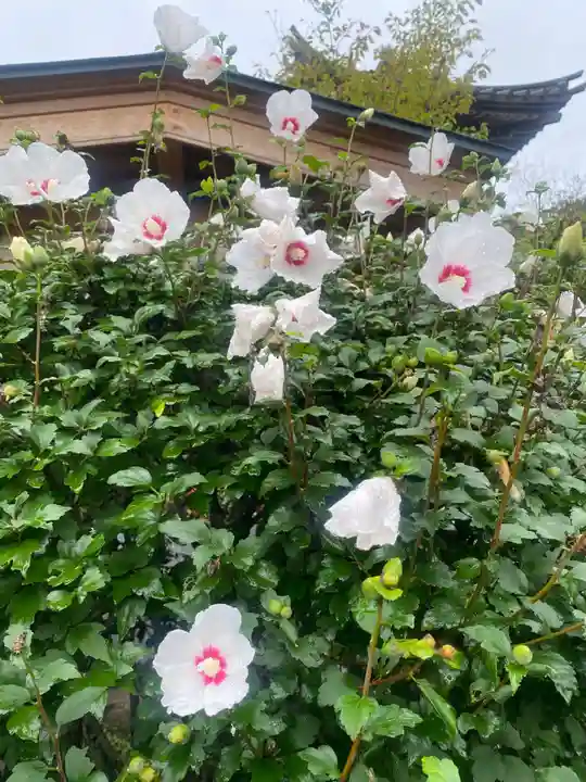 陽林寺(福島県)